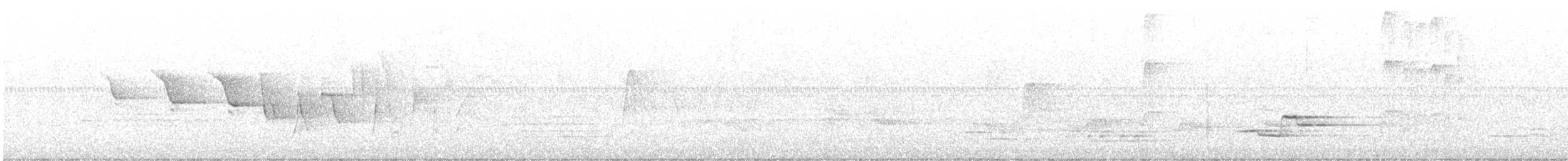 Трясогузковый певун - ML620150259