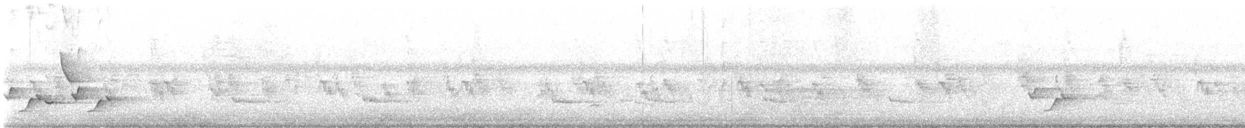 Поплітник каролінський - ML620155514