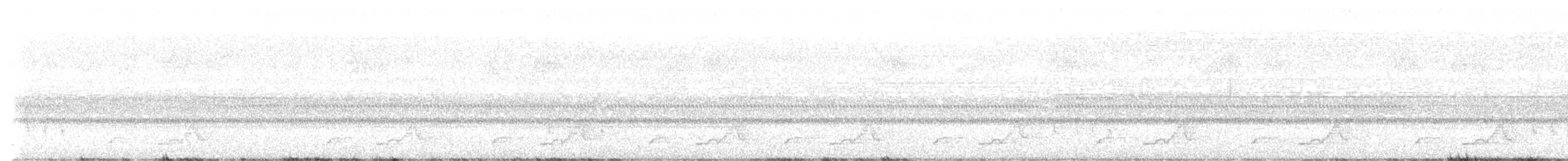 Schwarzkehl-Nachtschwalbe - ML620155515
