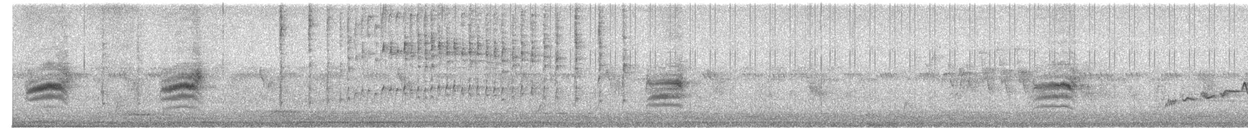 sangvireo (gilvus) - ML620158321