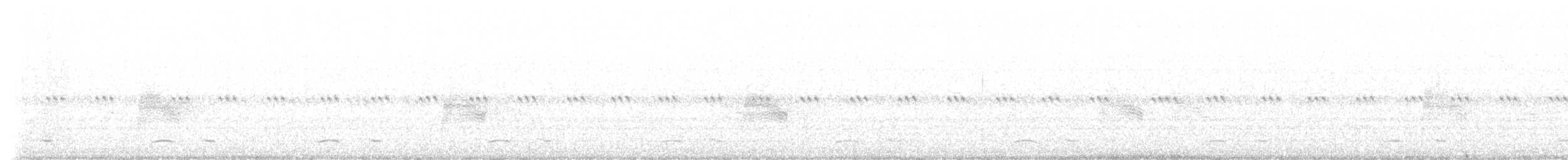 Winternachtschwalbe - ML620160511