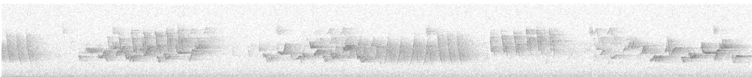 Дрізд-короткодзьоб Cвенсона - ML620161314