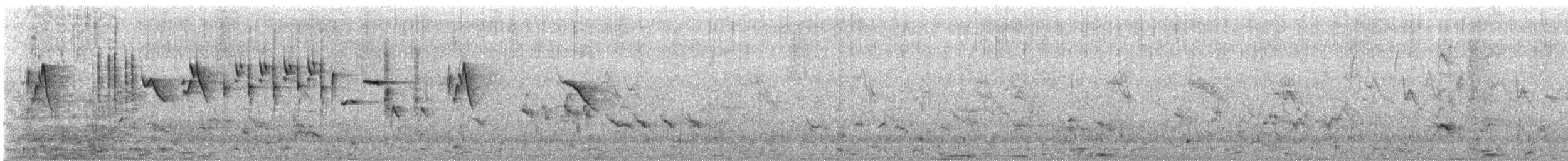 Broad-tailed Grassbird - ML620162404