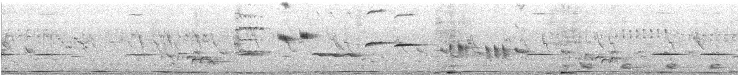 White-bellied Sholakili - ML620162422