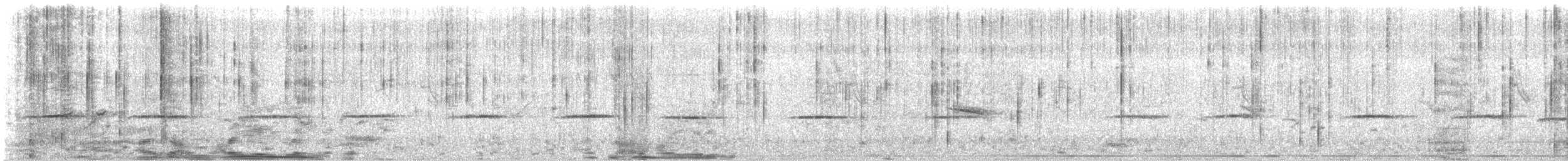 White-bellied Sholakili - ML620162423