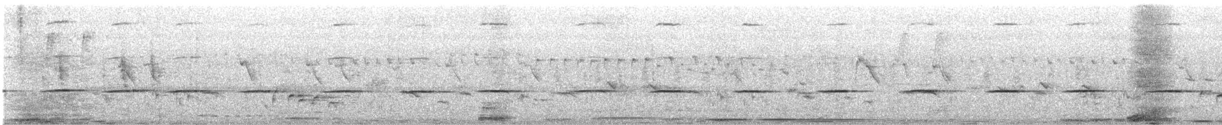 White-bellied Sholakili - ML620162424