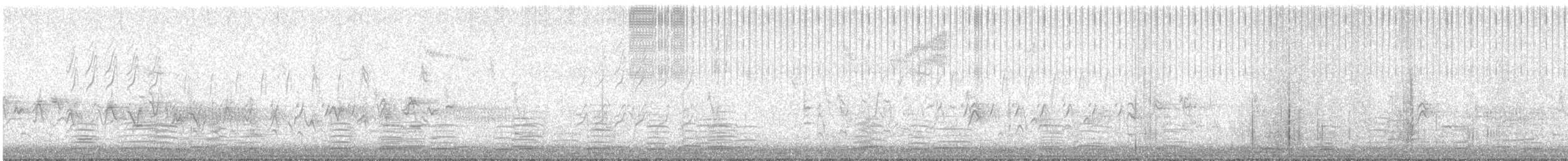 Cisne Trompetero - ML620162906