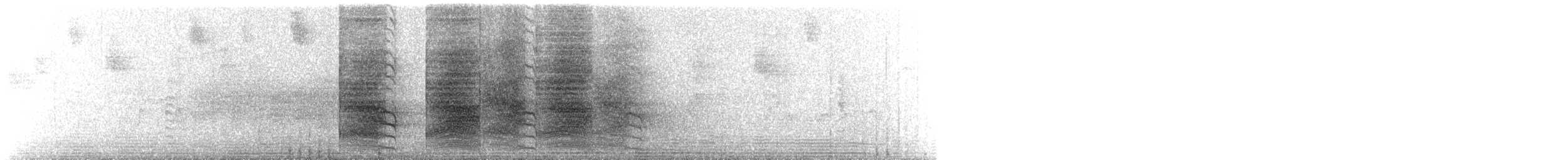 Geai de Steller (groupe coronata) - ML620163261