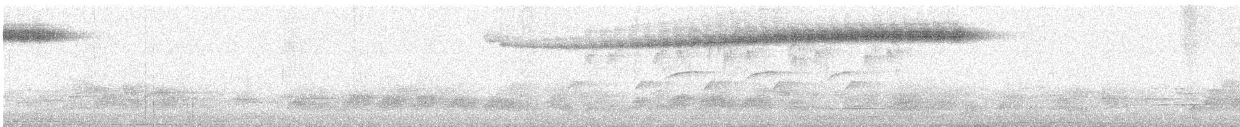 Широкохвістка далекосхідна - ML620163597