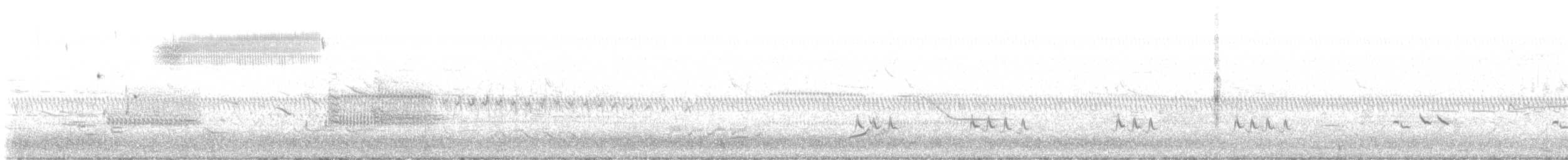 Кузнечиковая овсянка-барсучок - ML620164453