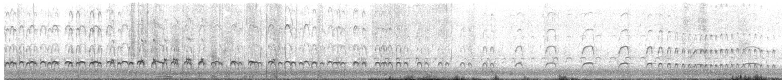 amerikatjeld - ML620166072