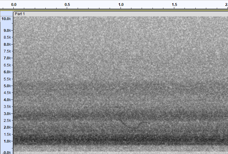 ub. fugl (Aves sp.) - ML620166539