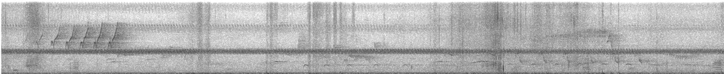 Protonoter Ötleğeni - ML620168105