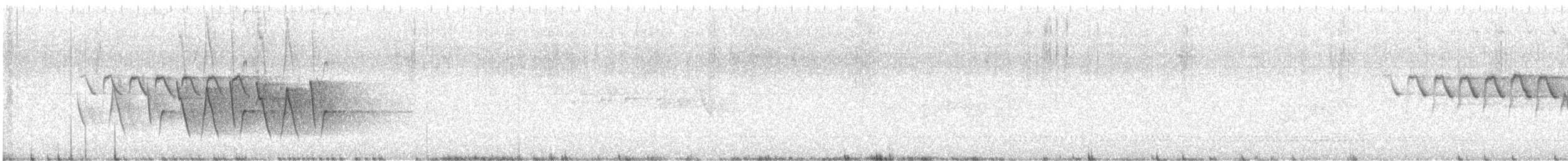 Connecticut Warbler - ML620168162