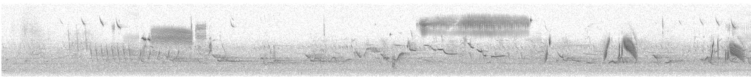 Chingolo Saltamontes - ML620168695