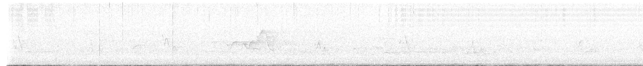 Paruline à capuchon - ML620170405