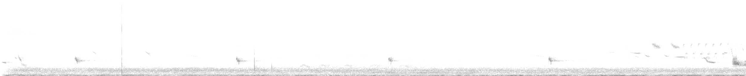 Western Meadowlark - ML620171506