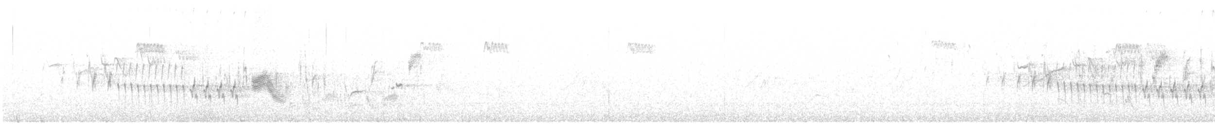 Txonta arrunta - ML620175132