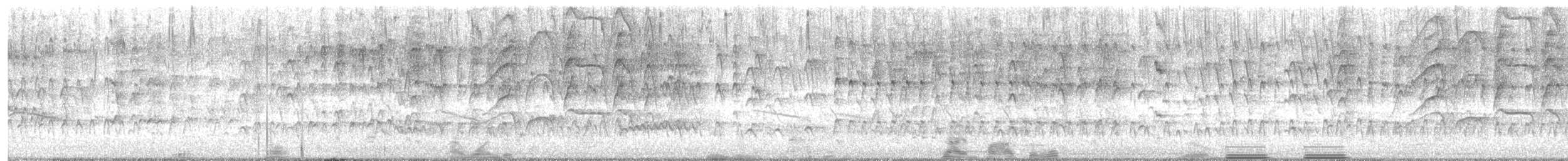 Rotschnabel-Pfeifgans - ML620176321