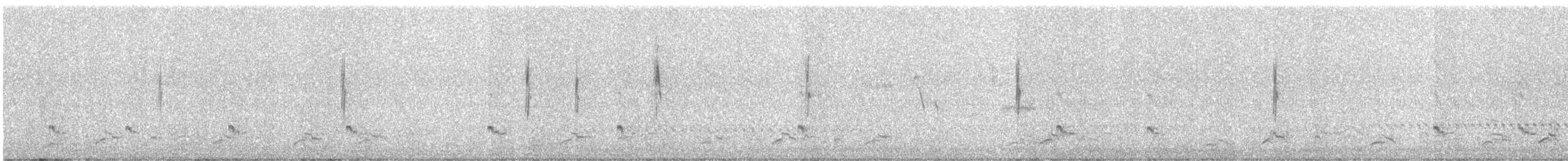Tawny-throated Dotterel - ML620178787