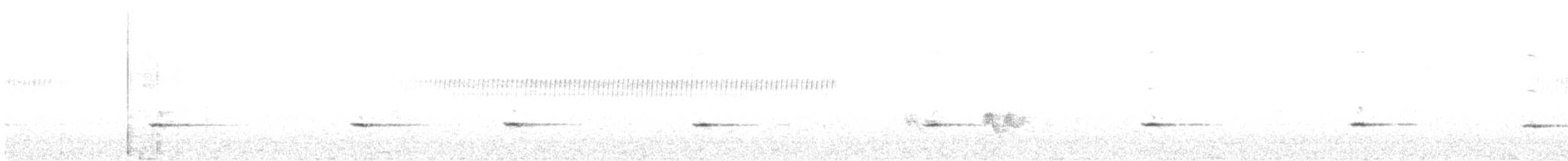 gråsolitærtrost - ML620186195