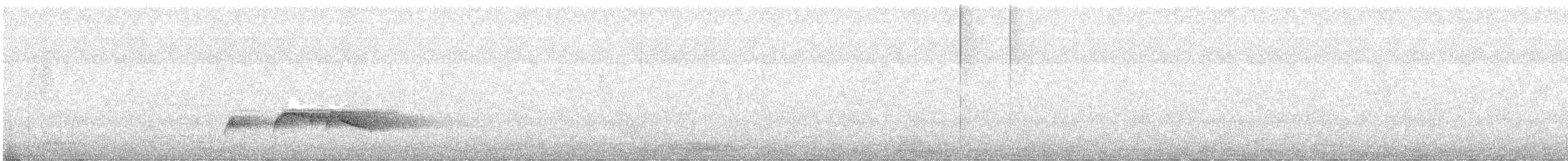 Оливковобокий пиви - ML620190135