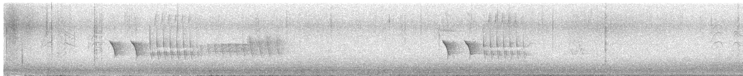 Тауї плямистий - ML620190769