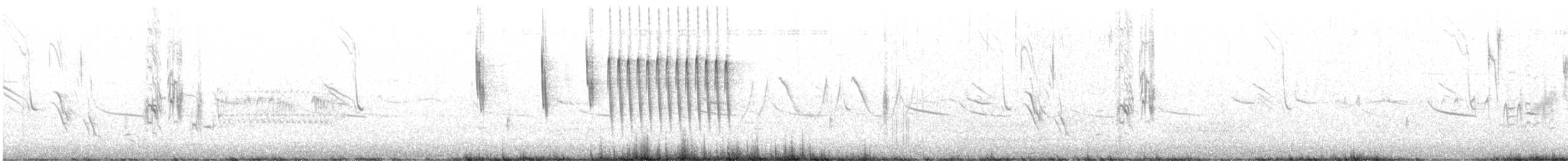 Troglodyte à bec court - ML620191571