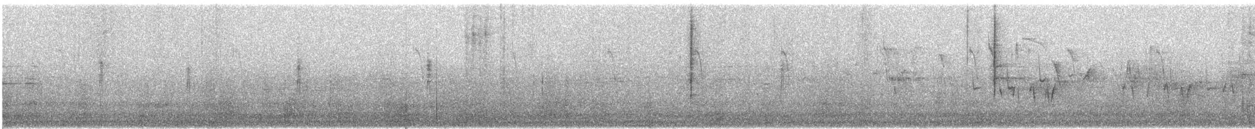 cistovník rákosníkový - ML620191628
