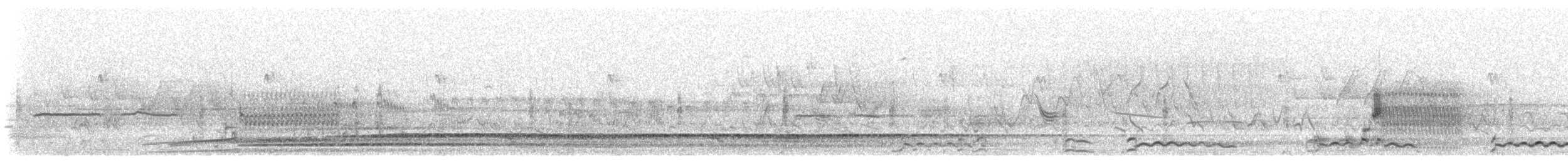 Plongeon huard - ML620191805