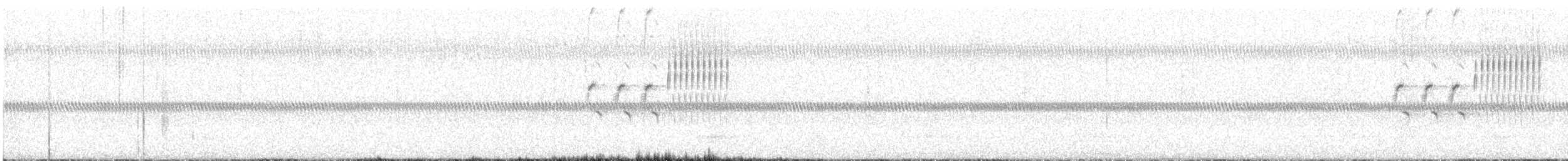 Fleckengrundammer - ML620192008