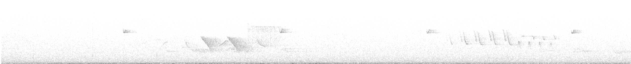Batı Amerika Sinekkapanı (occidentalis/hellmayri) - ML620192270