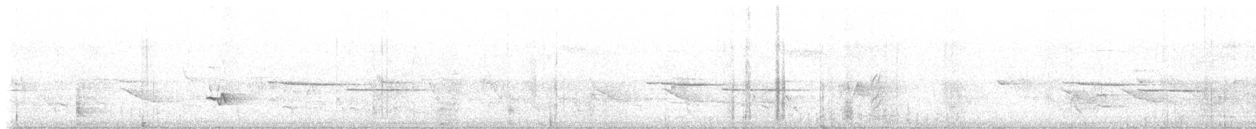 Münzevi Bülbül Ardıcı - ML620192935