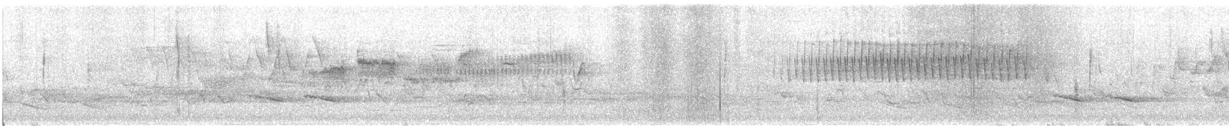 Worm-eating Warbler - ML620192971