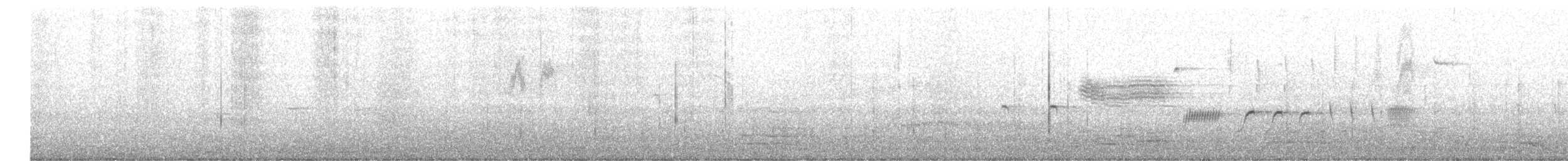 モリタイランチョウ - ML620196575