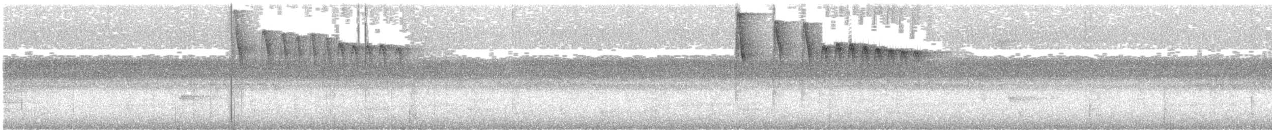 Ornate Stipplethroat - ML620196748