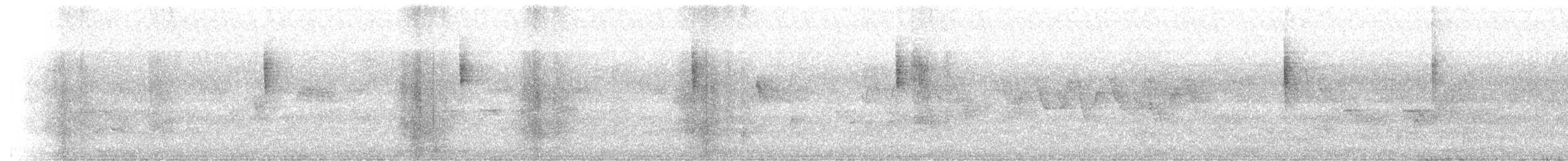 Желтокрылая червеедка - ML620198142
