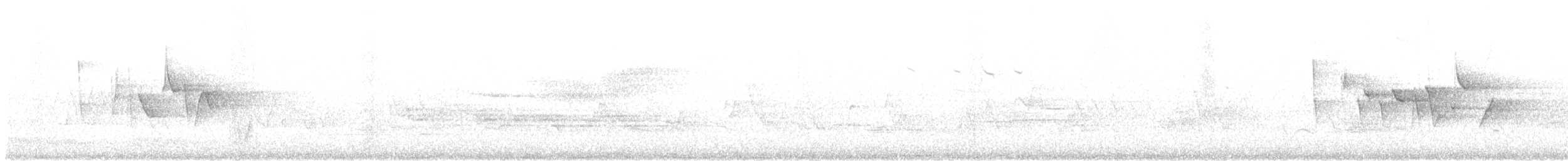 Canada Warbler - ML620198297