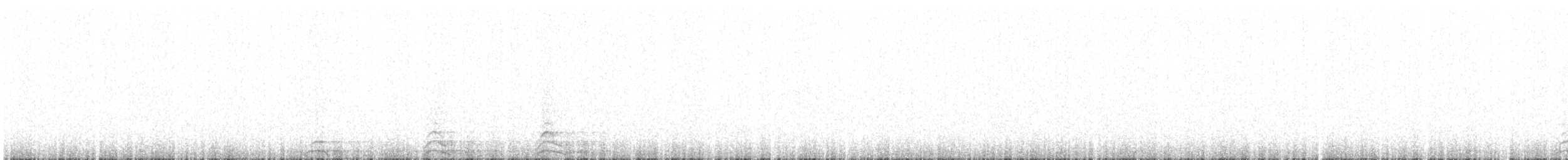 Сова плямиста (підвид lucida) - ML620198752