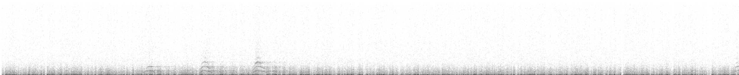 Spotted Owl (Mexican) - ML620198752