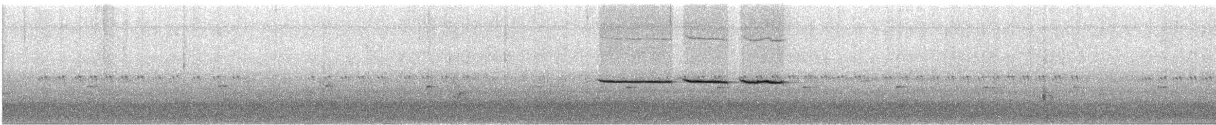 גיבתונית לבנת-גרון - ML620199195