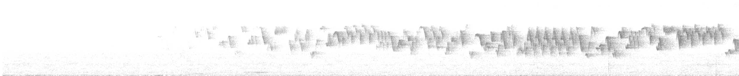 Troglodyte de Baird - ML620200356