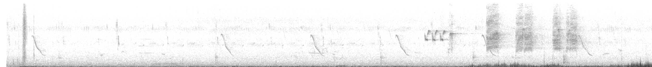 halsbåndfrankolin - ML620200653