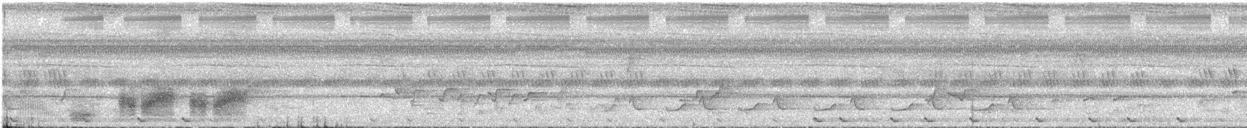 Stachelrücken-Meisentimalie - ML620203316