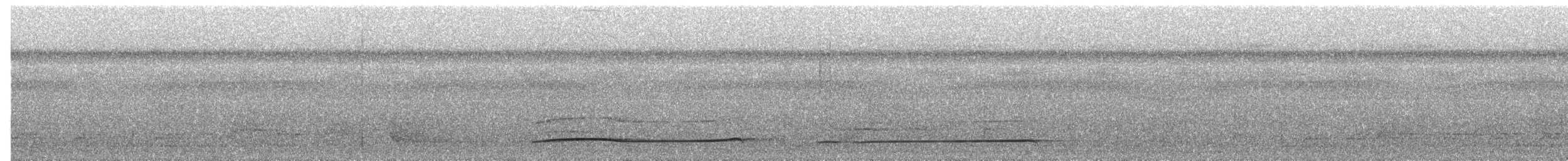 Doğulu Çizgili Pufkuşu (striolatus) - ML620204126