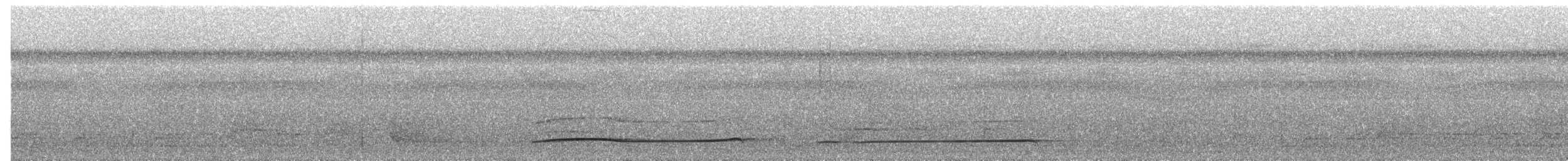 Strichelfaulvogel (striolatus) - ML620204126