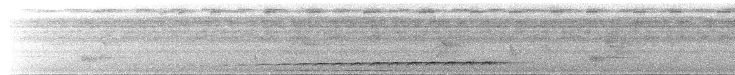Undulated Antshrike - ML620204236