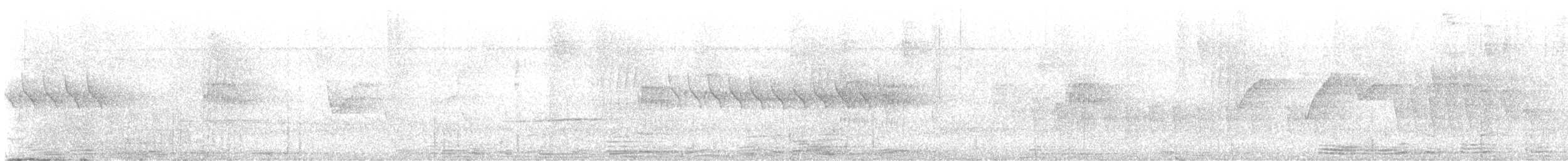 Troglodyte denté - ML620206677