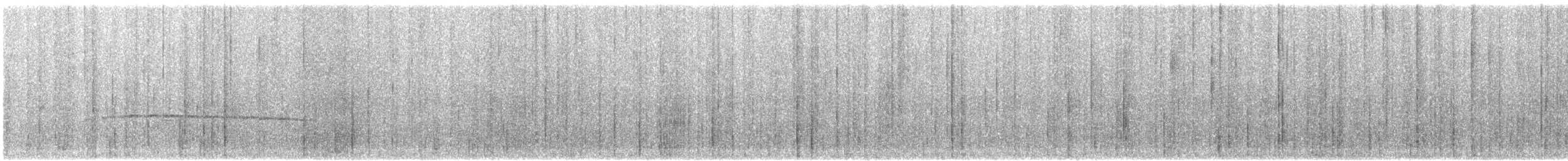 Graukappen-Ameisenpitta - ML620210123