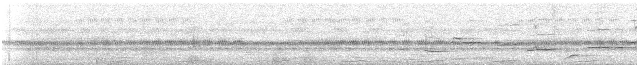 白斑紫嘯鶇 - ML620210151